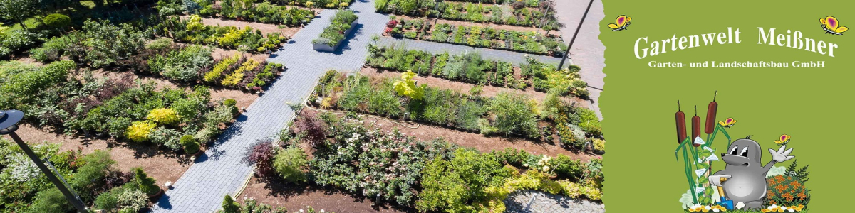 Gartenwelt Meißner Garten- und Landschaftsbau GmbH cover